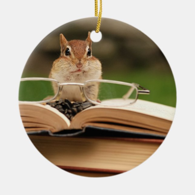 Cute Studious Chipmunk Ceramic Tree Decoration (Front)