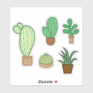 Cute Succulents and Cactus