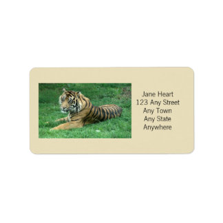 Cute Sumatran Tiger In The Grass Avery Label