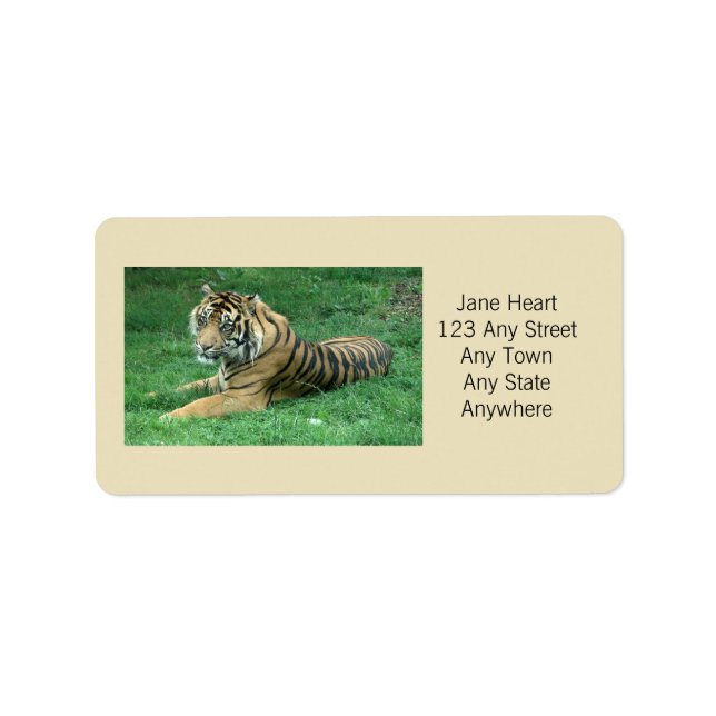 Cute Sumatran Tiger In The Grass Avery Label (Front)