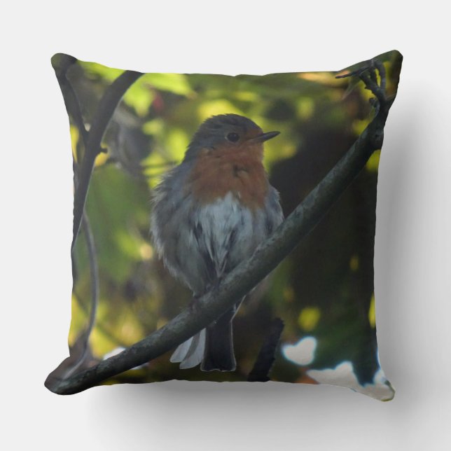 Cute Summer Robin Throw Pillow (Front)