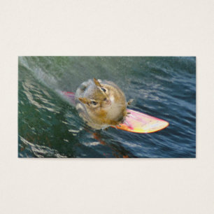 Cute Surfing Chipmunk