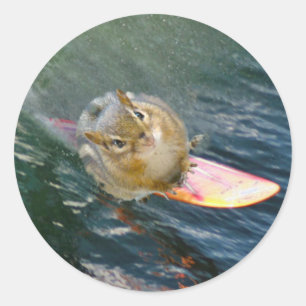 Cute Surfing Chipmunk Classic Round Sticker