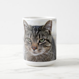 Cute , sweet, adorable, cat Mug