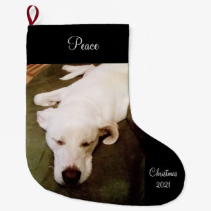 Cute Sweet Sleeping White Dog Large Christmas Stoc Stocking