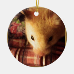 Cute Syrian Hamster Ceramic Tree Decoration