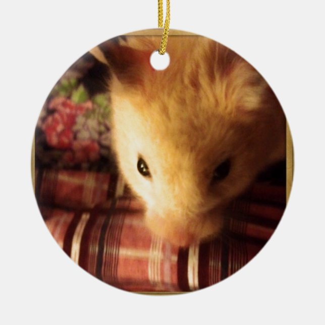 Cute Syrian Hamster Ceramic Tree Decoration (Front)