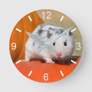 Cute Syrian Hamster White Black Spotted dial-plate Round Clock