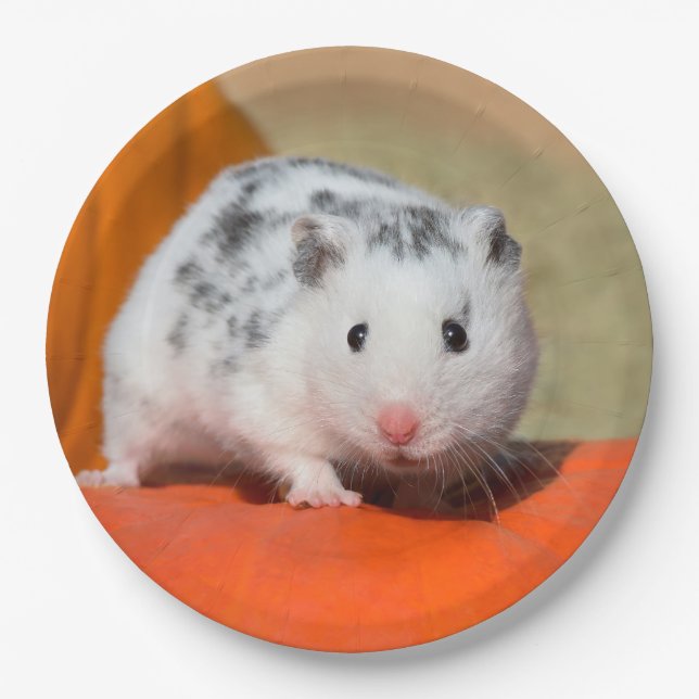 Cute Syrian Hamster White Black Spotted Funny Pet Paper Plate (Front)
