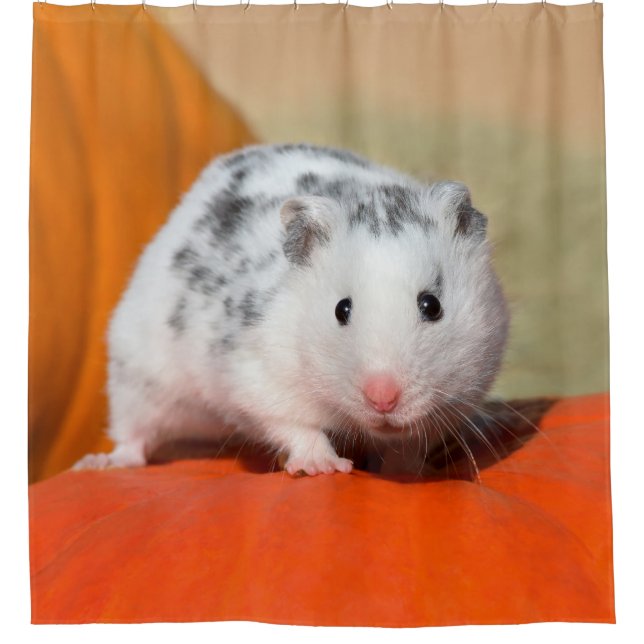 Cute Syrian Hamster White Black Spotted Funny Pet Shower Curtain (Front)