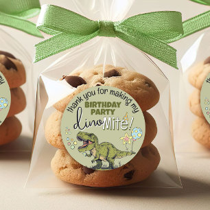 Cute T-Rex Dinosaur Boy Birthday Party Favor Classic Round Sticker