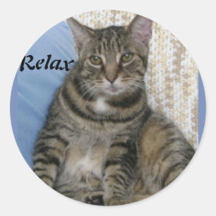 Cute Tabby Cat Classic Round Sticker