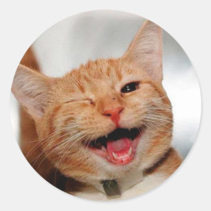 Cute tabby cat crying with one eye classic round sticker