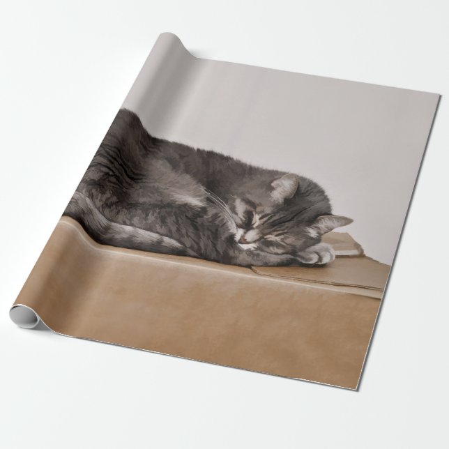 Cute Tabby Cat Grey Sleeping On Box Wrapping Paper (Unrolled)