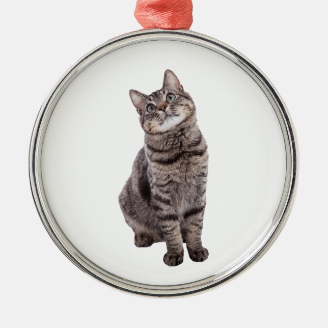 Cute Tabby Cat Metal Tree Decoration (Front)