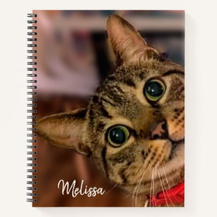 Cute Tabby Cat Personalised Notebook