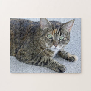 Cute Tabby Cat Photo Jigsaw Puzzle
