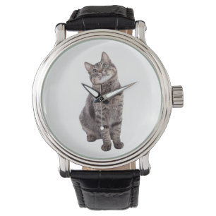 Cute Tabby Cat Watch