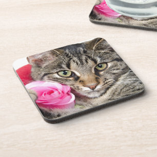 Cute Tabby Cat With Rose Coaster