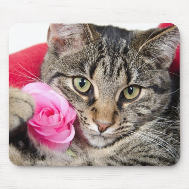 Cute Tabby Cat With Rose Mouse Pad (Front)