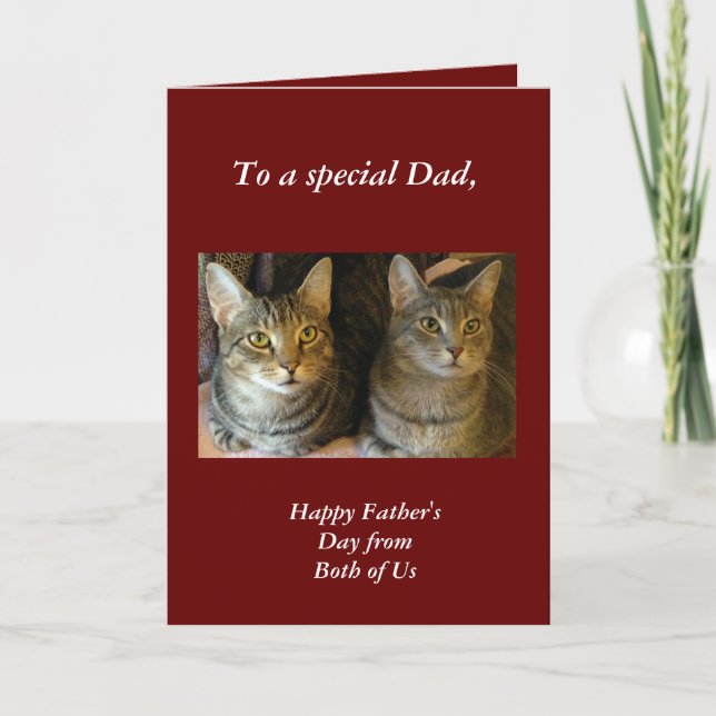 Cute Tabby Cats Red Father's Day  Card (Front)