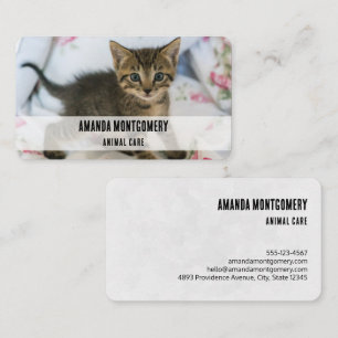 Cute Tabby Kitten Looking Surprised Business Card
