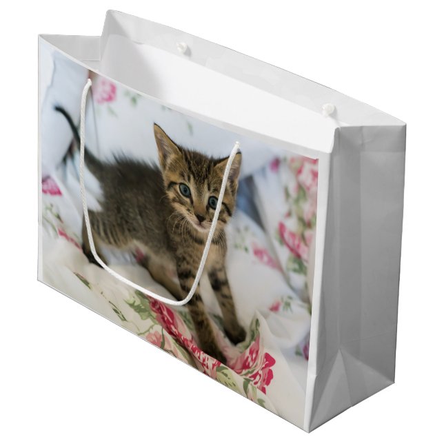 Cute Tabby Kitten Looking Surprised Large Gift Bag (Front Angled)