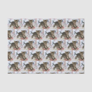 Cute Tabby Kitten Looking Surprised Patterned Tissue Paper