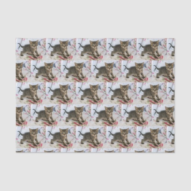 Cute Tabby Kitten Looking Surprised Patterned Tissue Paper (Front)