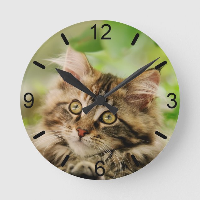 Cute Tabby Maine Coon Cat Kitten Fluffy Head Photo Round Clock (Front)