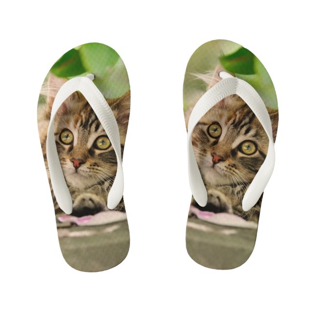 Cute Tabby Maine Coon Cat Kitten Fluffy Photo Kids Kid's Jandals (Footbed)