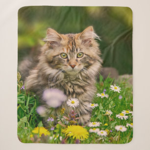 Cute Tabby Maine Coon Kitten Cat Animal Head Photo Sherpa Blanket