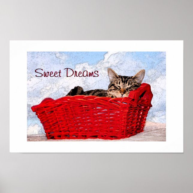 Cute Tabby Sleeping Kitten Red Basket Photograph Poster (Front)
