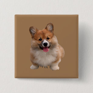 Cute Tan Welsh Corgi Square Button