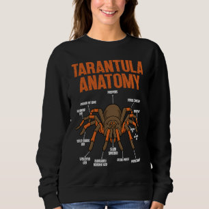 cute tarantula anatomy entomologist sweatshirt