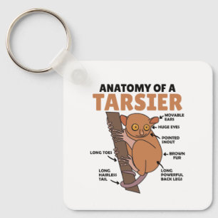 Cute Tarsier Anatomy Of A Tarsier Explanation Key Ring