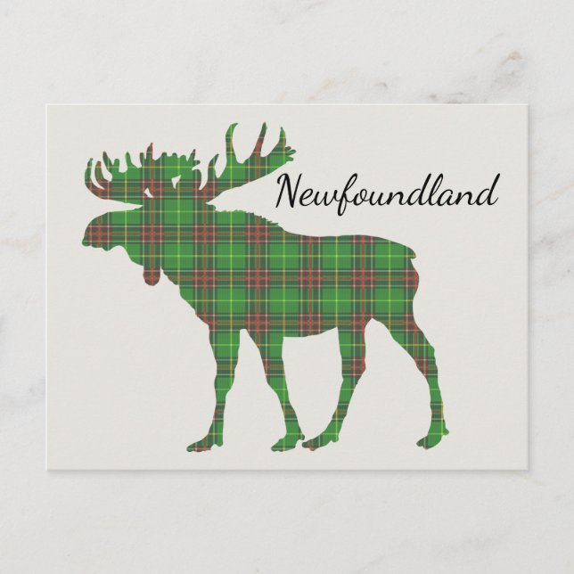 Cute Tartan moose Newfoundland postcard (Front)