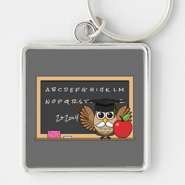 Cute Teacher Owl with Apple Cartoon Key Ring (Front)