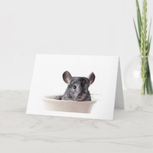 Cute Teacup Chinchilla Grey Card