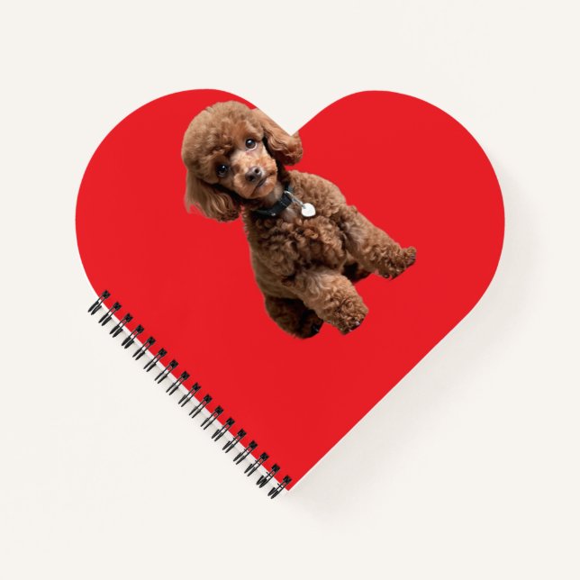  Cute Teacup Poodle Red Folder Notebook (Front)