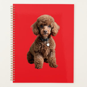 Cute Teacup Poodle Red Folder Planner