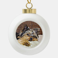 Cute Teacup Yorkie Yorkshire Terrier Digital Art