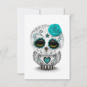Cute Teal Day of the Dead Sugar Skull Owl White
