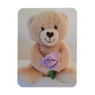Cute Teddy Bear Congratulations on Your New Baby Magnet