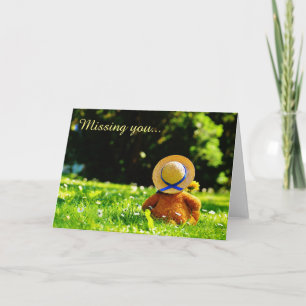 Cute Teddy Bear Missing You Greeting Card