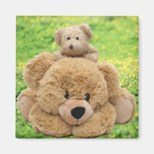 Cute Teddy Bears In A Meadow Magnet