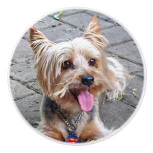 Cute Terrier Ceramic Knob