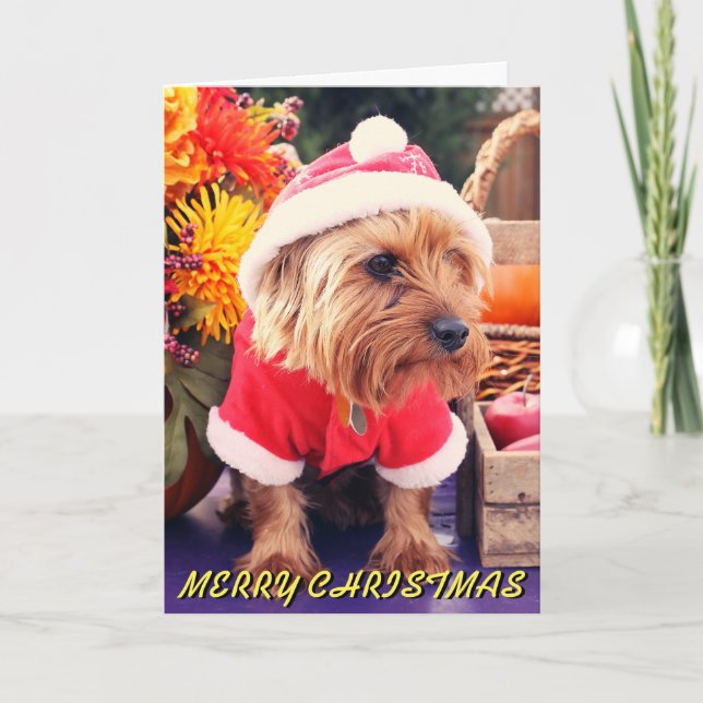 Cute Terrier Christmas Card (Front)