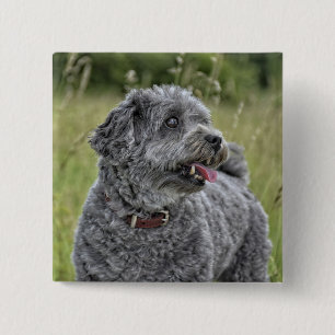 Cute Terrier Dog 15 Cm Square Badge