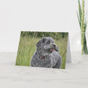 Cute Terrier Dog Card